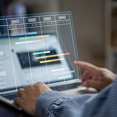 SAP Assessments - Our Services